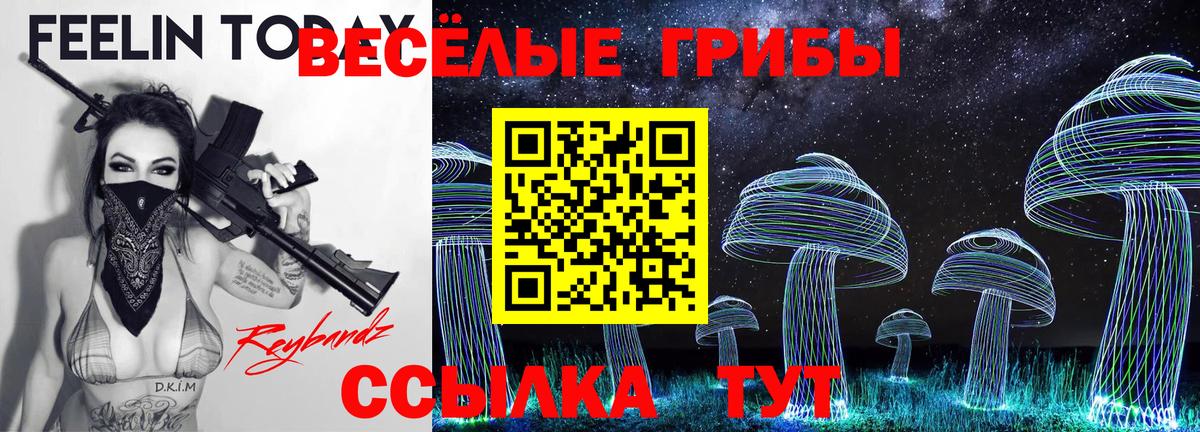Галлюциногенные грибы Cubensis  Галлюциногенные грибы Cubensis  Ейск  Вход с VPN 